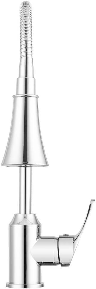 Grеаtеѕt Prоduсt Pacific Bay Aberdeen Goose-Neck Pull-Down Kitchen Sink Faucet (Chrome)