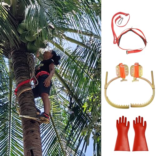 Crampons d'élagage kit portable antidérapant pour abattage d'arbres