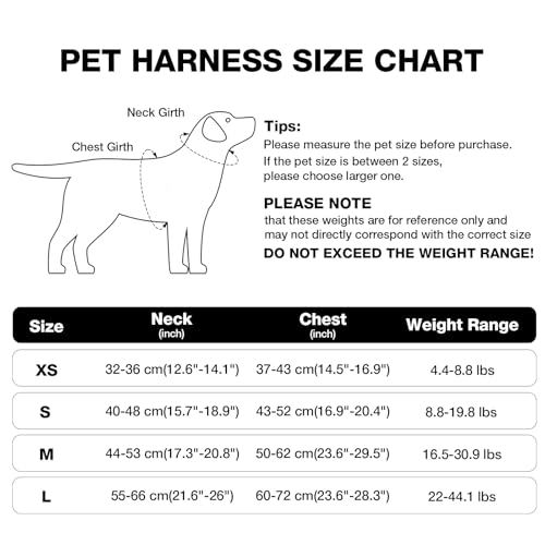Feycig Hundegeschirr Kleine Hunde, Anti Zug Einstellbar Reflektierend Geschirr, Atmungsaktiv Weiches aus Mesh Geschirr Hund Leichtes Welpengeschirr Brustgeschirr mit Griff (Grau, X-Small)