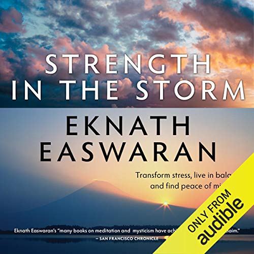 Cover art for Strength in the Storm