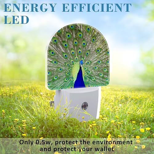 Image of Peacock Night Light with Dusk to Dawn Sensor for Room Decor, Hallway, Kitchen, Bathroom, Nursery, Stairs