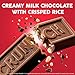 CRUNCH, Bulk 36 Pack, Milk Chocolate and Crisped Rice, Full Size Individually Wrapped Candy Bar, 1.55 oz Each