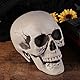 Sewroro 1 Stück Lebensgröße Skelett Schädel Menschlicher Schädel Modell Kunststoff Menschlichen Kopf Skelett Figuren Skulptur Realistische Menschliche Kopf Knochen für Halloween