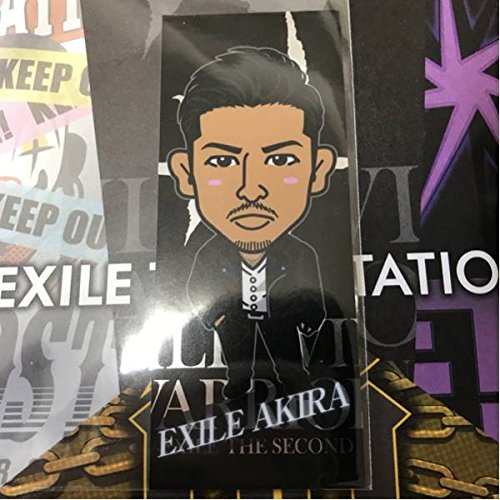Amazon.co.jp: EXILE THE SECOND AKIRA WILD WILD WARRIORS LIVE