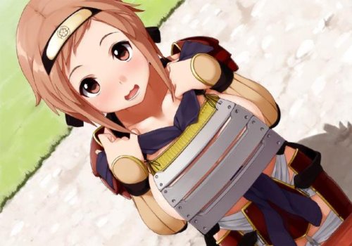 Amazon.co.jp: 戦極姫2・炎~百華、戦乱辰風の如く~ (限定版