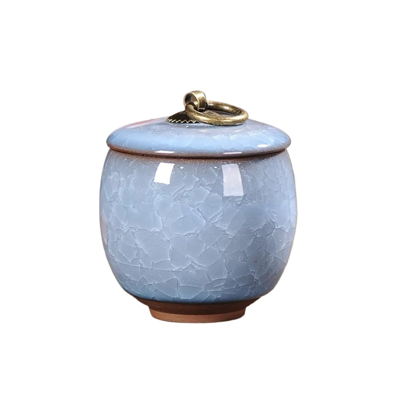 LPATEBCVU Ceramic Tea Caddy Tea Coffee Sugar Storage Jar Mini Ceramic Kitchen Bottles & Jars Containers Home Decor