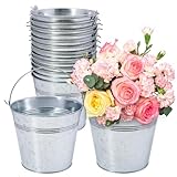 Biugaaufai 15 Pack 6 Inch Galvanized Metal Buckets With Handles, Rustic Metal Ice Buckets For Party Decor, Wedding Favors, Home Decor, Classroom Storage &Amp; Garden Planters(Silver)
