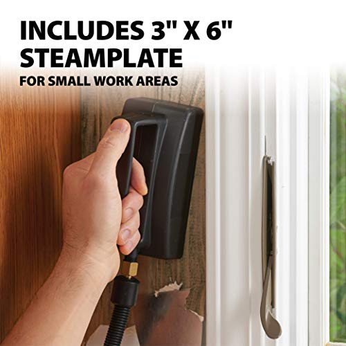 Wagner Spraytech 0282036 715 Power Steamer, Chemical Free Wallpaper Remover, Two Steam Plates Included, Long Run Time, Lightweight Design, Wallpaper Steamer #TOP4