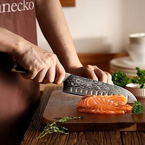 Sunnecko Chef Knife Nakiri Knife Santoku Knife And Utility Knife #TOP4