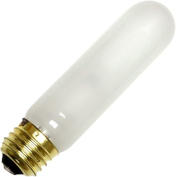 Bulbrite Incandescent T10 Medium Screw Base E26 Light Bulb, 1 Count Pack of 1, Frost