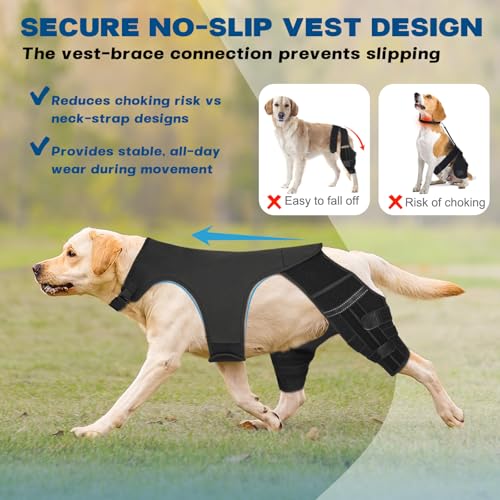 Image of Dog Knee Brace for Hind Leg - Adjustable Dog Rear Leg Support Brace with 4 Metal Stabilizers, Helps with Torn CCL, Luxating Patella, Ligament Injuries, Hip Dysplasia,L