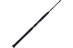 Penn Battalion II Surf Rod