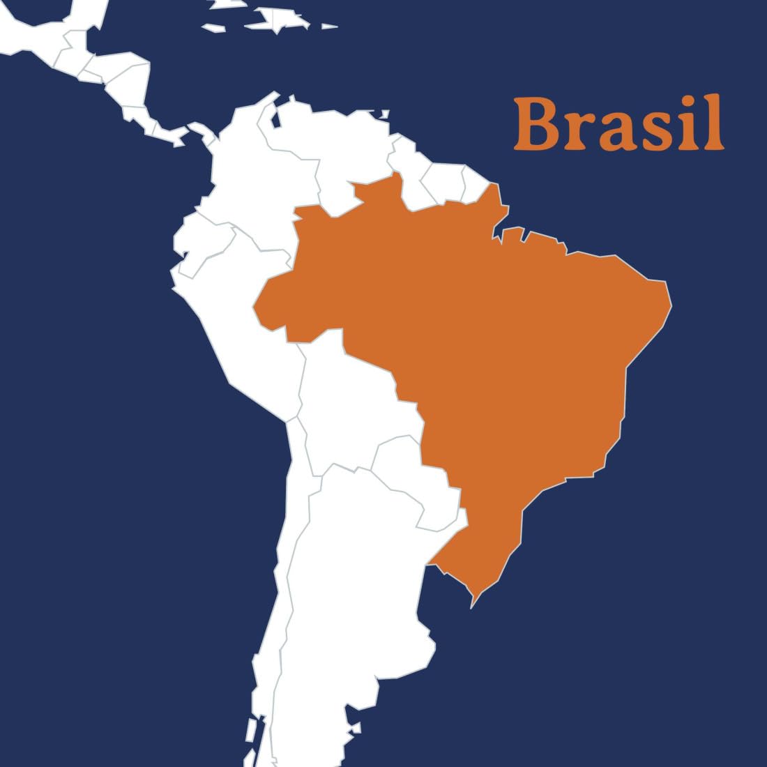 Cafe en Grano Natural de Especialidad 100% Arabica Tueste Natural y Artesanal con Sabor Intenso Acidez Equilibrada para Todas las Cafeteras 250g Gran altitud Origen Brasil - SABROA