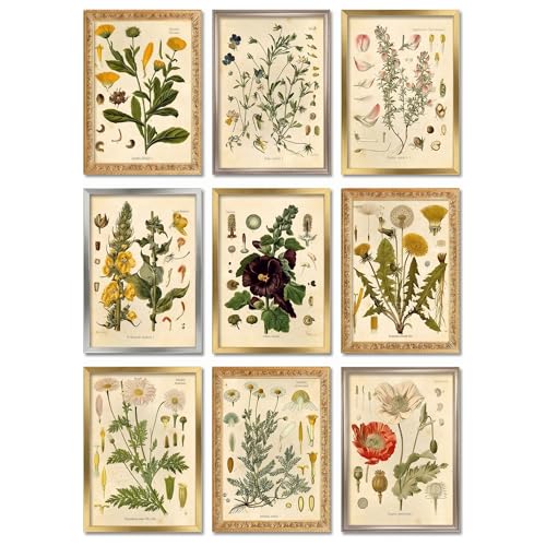 Vintage Botanical Prints | Wildflower Art Prints | Floral Wall Art | Set of 9 5x7 Unframed
