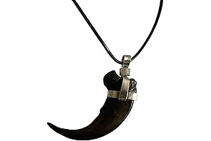 Grizzly Bear Claw Necklace: A Stunning Symbol of Strength and Nature's Beauty