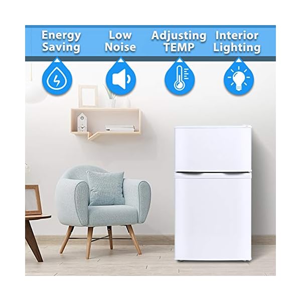 INTERGREAT Mini Fridge with Freezer, 3.2 Cu.Ft Small Refrigerator for