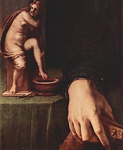 Posters et art pour décoration chambre tableau Bronzino homme au luth