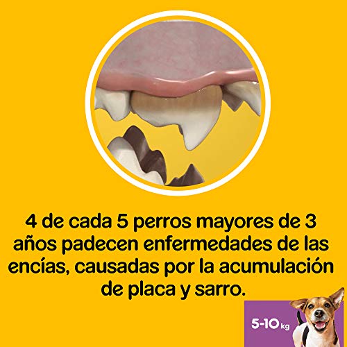 Pedigree Dentastix Fresh Snack Dental para la Higiene Oral y Contra el Mal Aliento de Perros Pequeños (4 paquetes de 28ud) 6 Snack dental para perros pequeños que favorece la higiene oral y contribuye a mejorar el aliento del perro, con un toque extra de frescor, gracias a su combinación de eucalipto y extracto de té verde
Está demostrado científicamente que darle un stick dental Dentastix a tu perro contribuye a la limpieza diaria de sus dientes y ayuda a mantener su aliento fresco
La combinación de su textura junto con sus ingredientes activos convierten a los palitos para perro Dentastix en el aliado perfecto para la limpieza completa de su boca