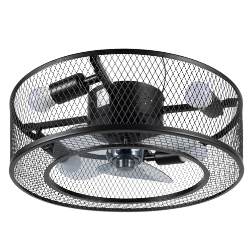 Dodoam Modern LED Ceiling Fan Light Flush Mount Ceiling Fan LED Light Chandelier 3 Gear Wind With Remote Control 18" for Bedroom, Kitchen Living Rooms, Restaurants(US)