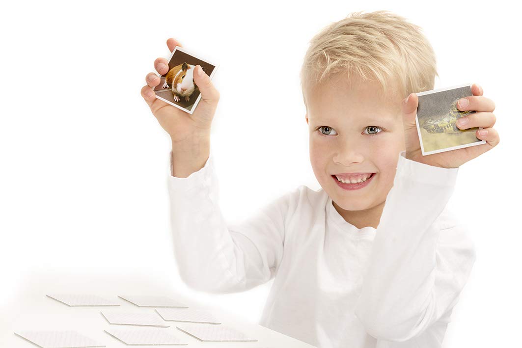 Tactic Games Memo Animale Bambini Edizione Bambini Accoppiamento Gioco