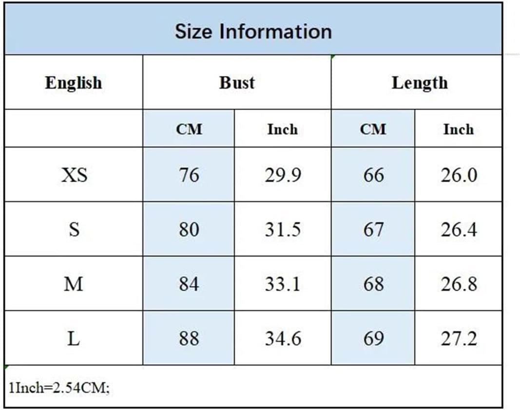 Women Backless Zipper Thin Strap V Neck Chic Mini Dress