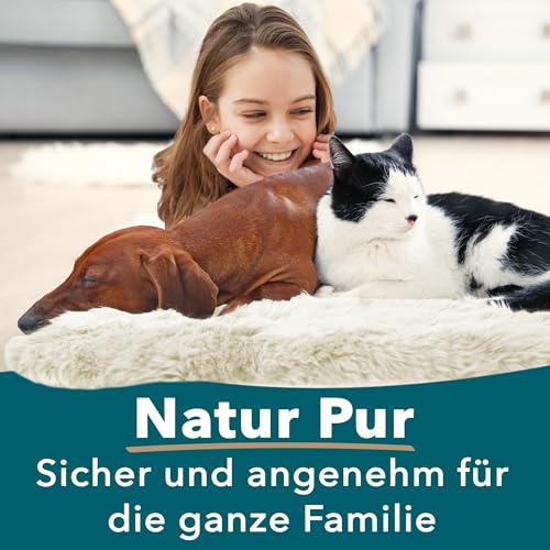 KARAT Lammfell echt - Ivory Flauschige Stuhlkissen Schaffell Deko Teppich für Wohzimmer & Kinderzimmer, Sitzauflage, Dekofell, mit Lederrücken 90x60 cm (Audrey)