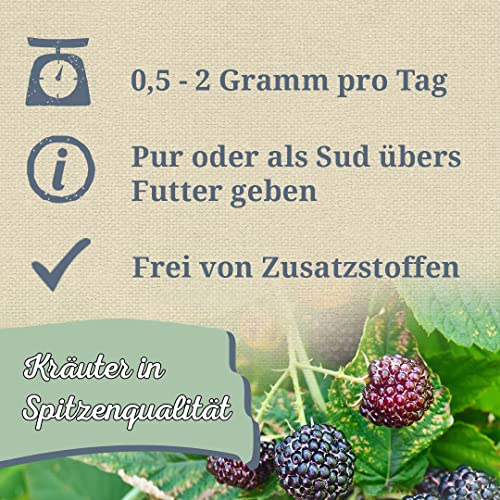Krauterie Brombeerblätter Hund, Einzelfuttermittel für Hunde (100 g), Brombeerblätter Feinschnitt in Spitzenqualität