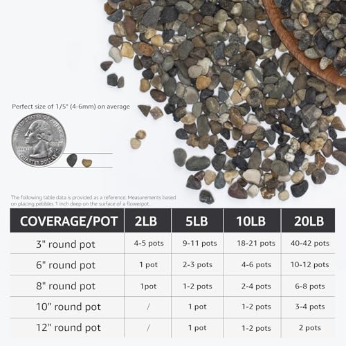Image of 20lbs Coarse Sand Stone - Succulents and Cactus Rocks, Decorative Gravel for Plants and Vases Fillers，Terrarium, Fairy Gardening, Natural Stone Top Dressing for Potted Plants.