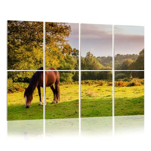 8 Pack Art Acoustic Panels Grazing Pony early morning Decorative Sound Absorbing Wall Panels 48'x32' Noise Canceling Soundproof Padding Room Decor for Office