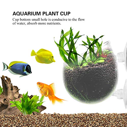 Crystal Glass Aquatic Plant Cup Pot Holder Fashionclubs Aquarium Tank Live Plant Glass Cultivation Basin Red Shrimp Holder with 2 Suckers Fish Tank Accessory - Image 4