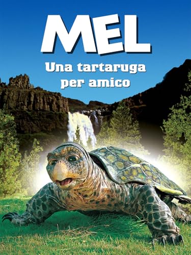Mel, una tartaruga per amico