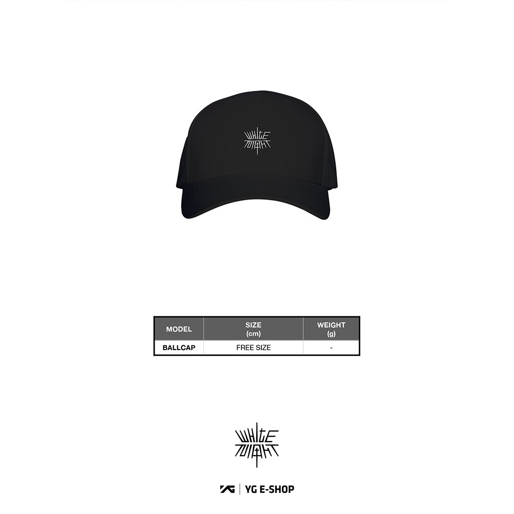 ヨンベ　ファンミ　グッズ　キャップ　帽子　BIGBANG TAEYANG Amazon.co.jp: BIGBANGヨンベ SOL TAEYANG 公式キャップ RISE