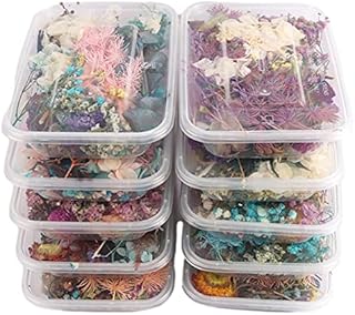 Colorful Real Dried Flowers, Dried Flowers Plants, Decor Natural Dried Plants Flowers, Pressed Flowers For DIY Candle Resin Jewelry Nail Pendant Crafts Making Art Floral Decors