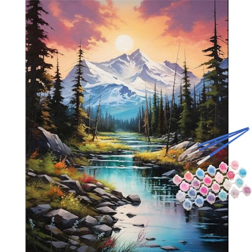 TOCARE Mountains Paint by Numbers Kit for Adults Beginners, Adult Paint by Number Kits Mountain Streams, Acrylic Adults’ Paint-by-Number Kits Nature 16x20inch