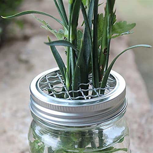 Haidong Mason Jar Frog Lid Square Mason Jar Plant Grid Metal Mason Flower Jar Lid Suitable For Vase Decoration Accessories（Sliver）-8Pcs #TOP4