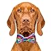 Cutie Ties Dog Bow Tie Pastel Tie Dye-2