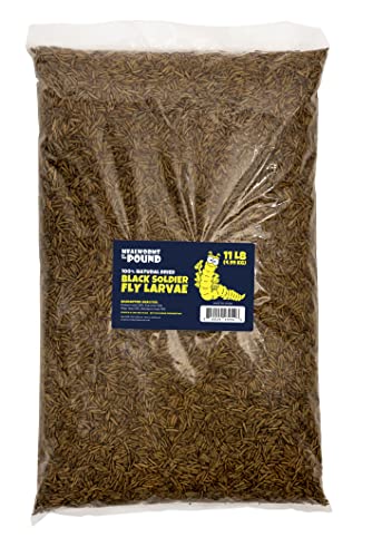 GRUBMASTER Edible Insect Food, Dried Black Soldier Fly Larvae, Natural