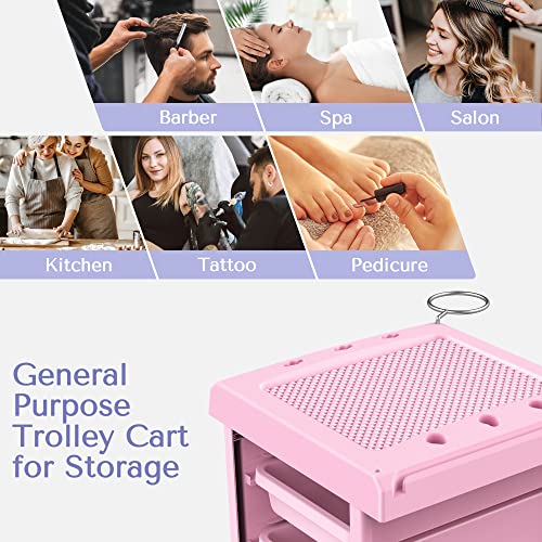 Tasalon Upgrade Salon Trolley Cart With Wheels For Salon Station, 6 Drawer Salon Rolling Cart For Extra Storage, Multipurpose Salon Cart, Beauty Cart, Tattoo Cart, Hair Cart For Hair Stylist - Pink #TOP5