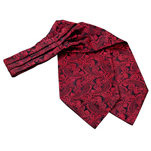 Alizeal Men's Paisley Ascot Tie Cravat Satin Self Tie And Handkerchief Set(Maroon) #TOP5