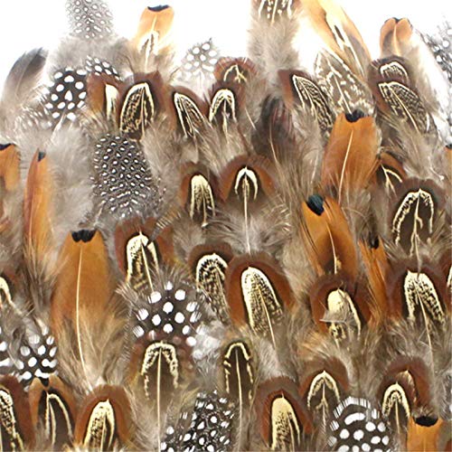 Coceca 300pcs Assorted Chicken Feathers for Various Crafts, Birthday Parties, Wedding and Party Dress-ups