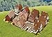 Schreiber-Bogen Card Model making, Village with half-timbered houses