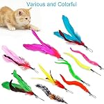 JIARON Cat Toys Feather Toy, 2PCS Retractable Wand and 10PCS Replacement Teaser with Bell Refills, Interactive Catcher and Funny Exercise for Kitten. - Image 6