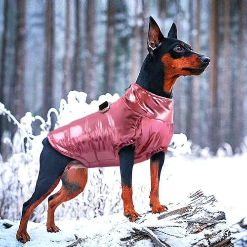 Veste d'extérieur imperméable pour chien pour protéger votre compagnon - 7