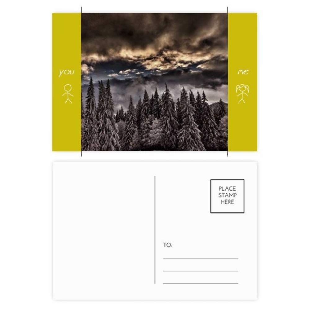 DIYthinker White Pine Sky Dark Sky Friend Postcard Set Thanks Card Mailing Side 20Pcs 5.7 inch x 3.8 inch MultiColor