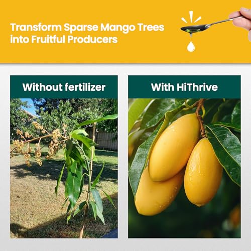 Fertilizante Líquido de Árbol de Mango 16oz miniatura 3