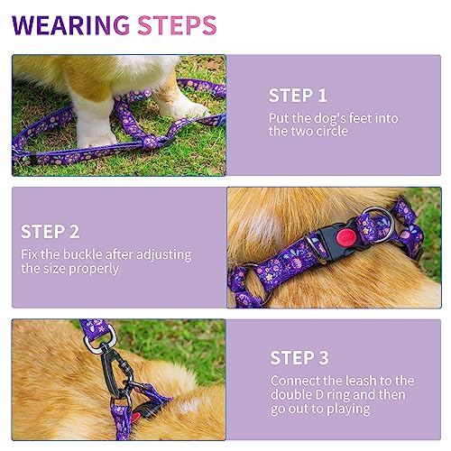 AIITLE Step in Dog Harness Collar Leash Set - Adjustable No Pull Floral Printing Halter Harness - Comfortable Padded Handle - Easy Control for Walking - for Extra-Small Breed Dogs, Purple Flower XS