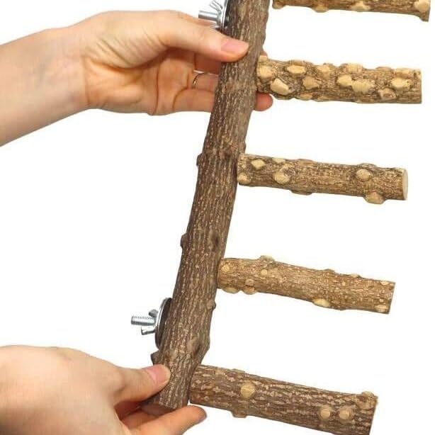 Image of Bird Perches for Cage, Natural Wood Parrots Perch Stand Ladder for Budgies Parakeets and Other Bird Stand Cage Accessories