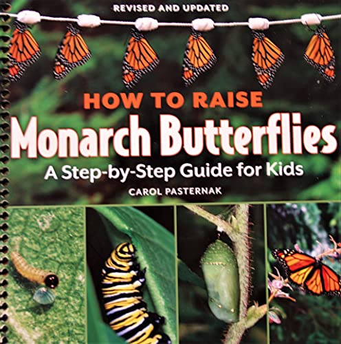 How to Raise Monarch Butterflies: A Step-by-Step Guide for Kids