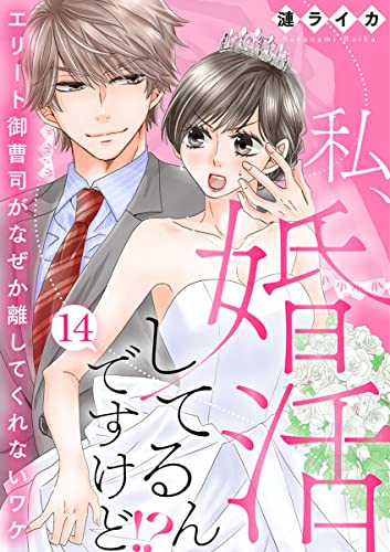 私、婚活してるんですけど!?～エリート御曹司がなぜか離してくれないワケ～14 (comic donna)