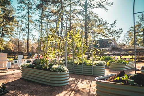 Vego garden Raised Garden Bed Kits, 17" Tall 9 in 1 8ft X 2ft Metal Raised Planter Bed for Vegetables Flowers Ground Planter Box-Olive Green - Image 3